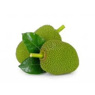 raw jackfruit